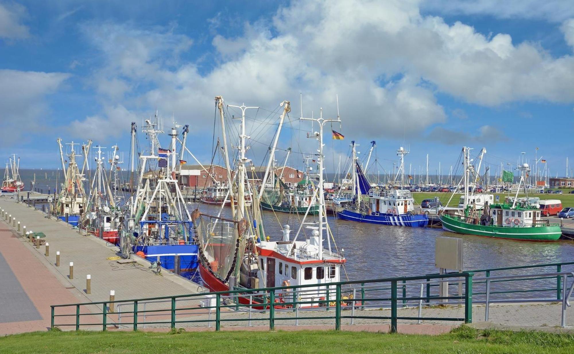Ferienhaus-Hornhecht Dornumersiel Exteriér fotografie